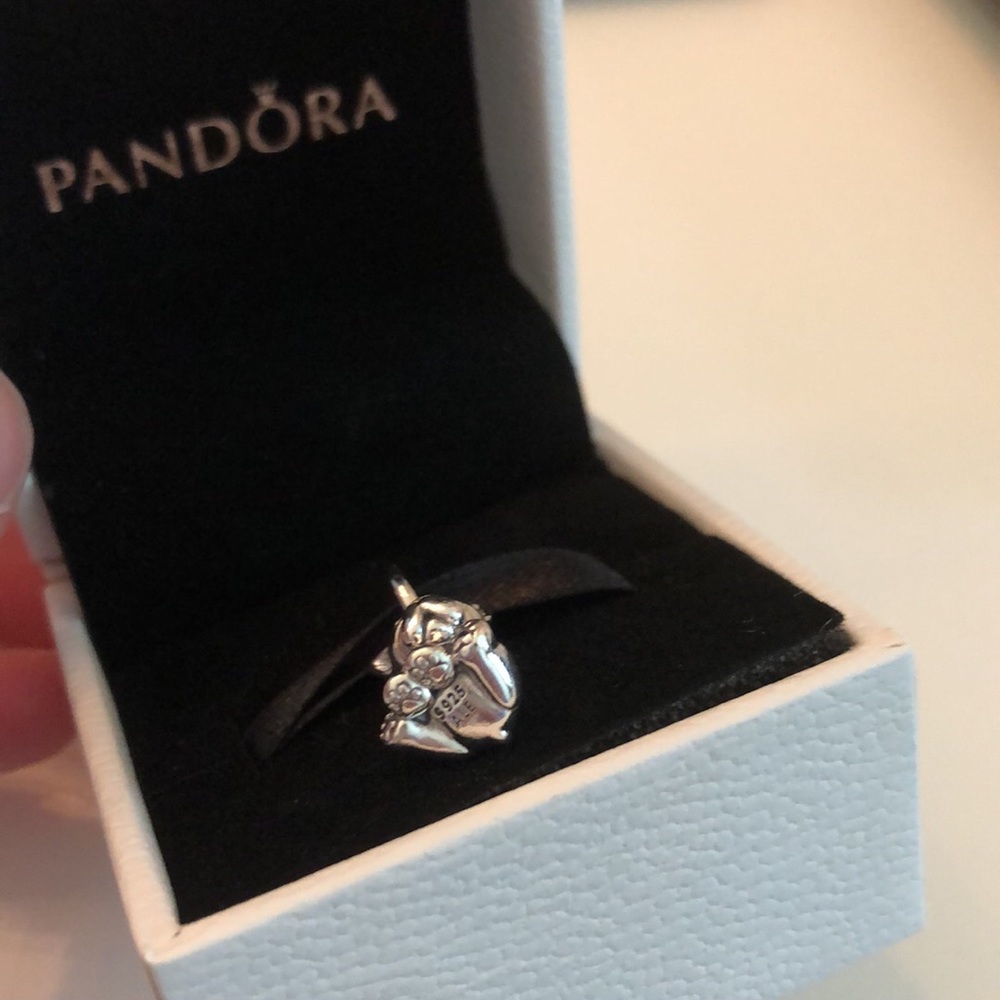 New Dog Pandora Charm